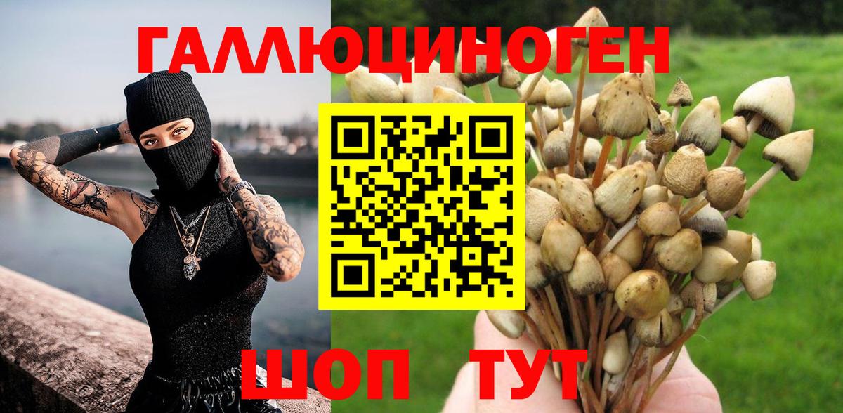 Галлюциногенные грибы GOLDEN TEACHER Кисловодск