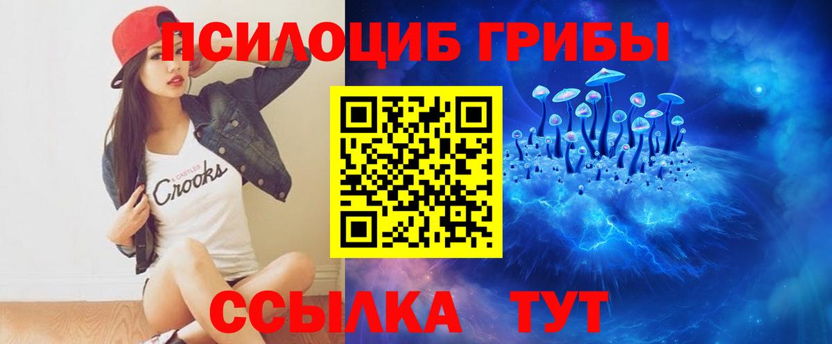 Кисловодск  Псилоцибиновые грибы Psilocybine cubensis  Вход с VPN  Галлюциногенные грибы Cubensis 